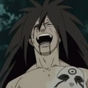 Meet your Posher, Rocky